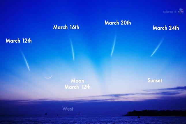 Comet PANSTARRS is coming in March - could be a beauty!